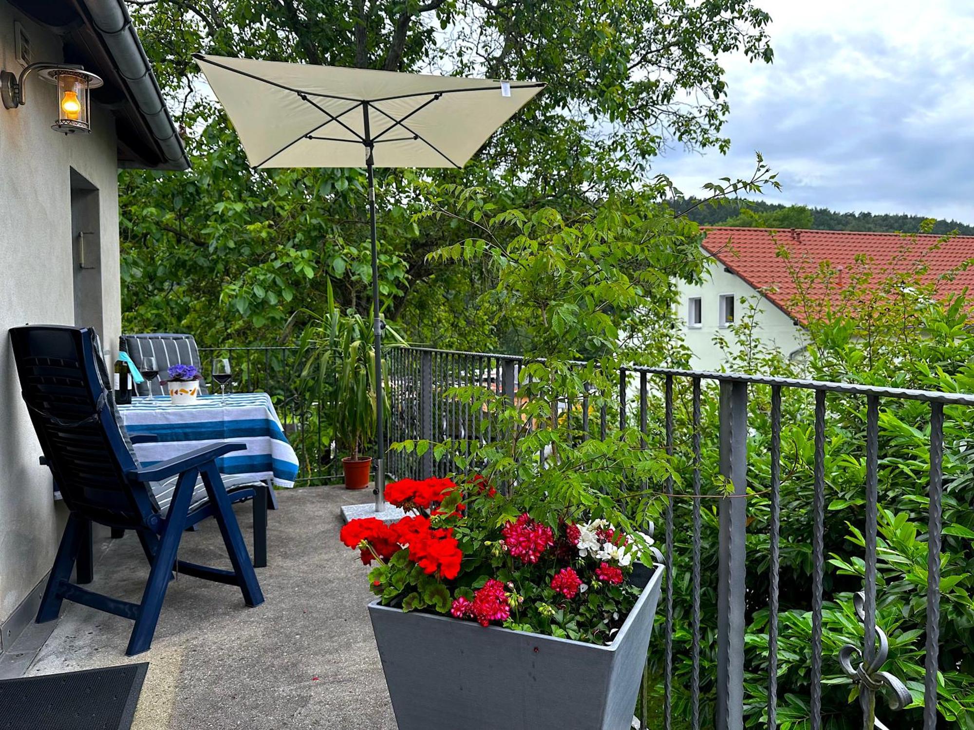 Liliensteinblick Apartment *